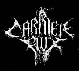 logo Carrier Flux logo Carrier Flux